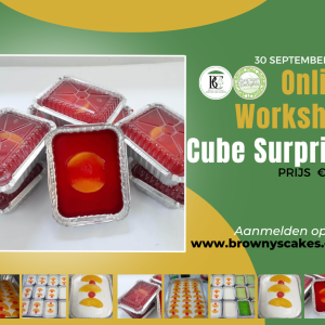 Workshop Cube Surprise